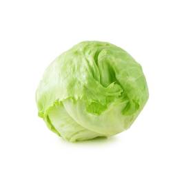 Xà Lách Búp Mỹ VietGAP