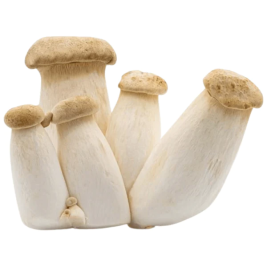 Nấm Đùi Gà baby Hàn Quốc (200g)