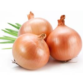 Onion Dalat VietGAP