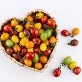 Cà Chua Cherry Nhiều Màu