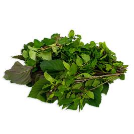 Mixed Local Herbs VietGAP