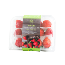 HOKKAIDO DÂU TÂY GIỐNG NHẬT MINORI V.GAP (270G)