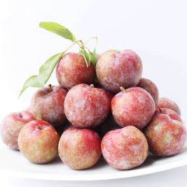 Plum Ban On