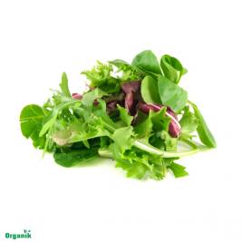 Rau Salad Hỗn Hợp Hướng Hữu Cơ
