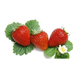 Orlar Dâu tây Giống HQ cỡ A VietGAP (500g)