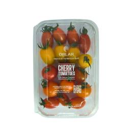 Cà Chua Cherry Hướng Hữu Cơ