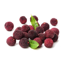 Hymalayan Bayberry VN (200g)