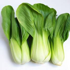 Orlar Cải Thìa (200g)