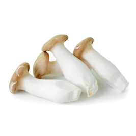 Eringi Mushroom Korean (400g) 