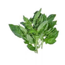 Basil Green