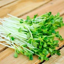 Mầm Bông Cải xanh (150g)