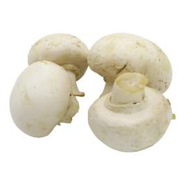 Nấm Mỡ Trắng Nhỏ