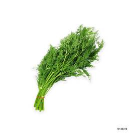 Dill 