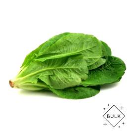 Romaine Lettuce VietGAP