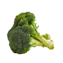 Broccoli VietGAP