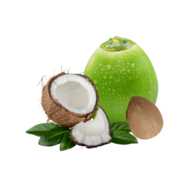 Dừa Xiêm Bến Tre Annam Selection