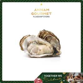 Hàu nguyên con Hasubi loại 13-15 con/kg (g)