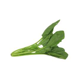 Cải Bó Xôi Hữu Cơ Tươi Sạch