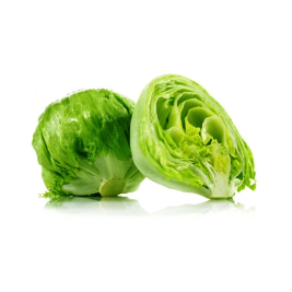 Xà Lách Búp Mỹ Hữu Cơ