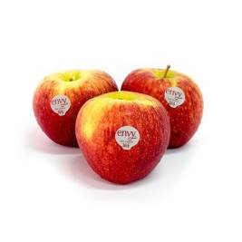 Apple Envy USA 2 Units