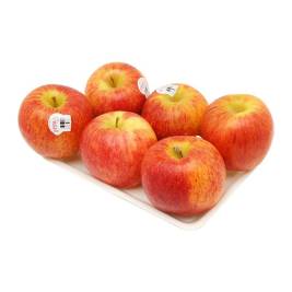 Apple Envy New Zealand 6 Units