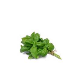 Basil VietGAP