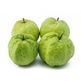 Nữ Hoàng Guava (g)