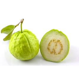 Guava White Taiwan (g)