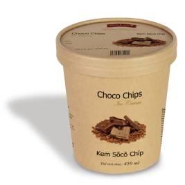Bellany Chocochip ice cream (450ml)