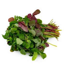 Amaranth Baby