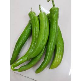 Ớt Sừng Xanh