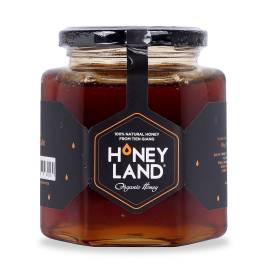 Honey Land Longan Flower Honey (480g)