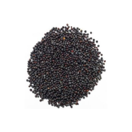 HẠT CẢI MÙ TẠT ĐEN AG (100G)