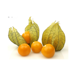 Golden Berry South America (100g)