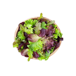 Salad non hỗn hợp ăn liền (100g)