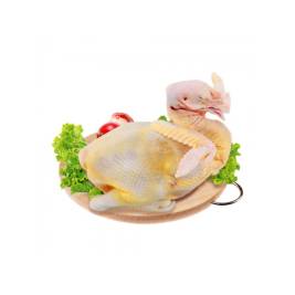 Gà tre 500-800g Tam Nông
