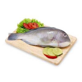 Annam Gourmet Thăn cá mó