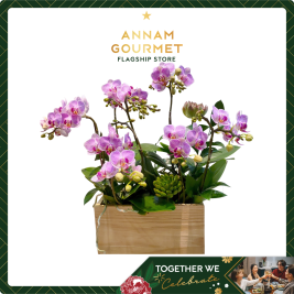 Bubon Forest Orchids (10 branches)