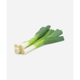 Leek