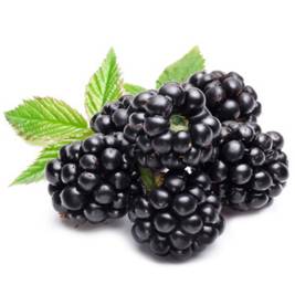 Blackberry