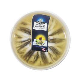 Cá cơm ngâm dầu hươớng dương Anchois Marines A L'Huile  De Tournersol hiệu Vanelli 1000g