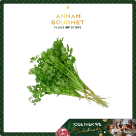 Coriander