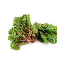 Red Veined Sorrel VietGAP