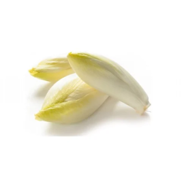 SALAD CHICORY TRẮNG  CHÂU ÂU (G)