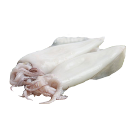 Mực Ống Loại 1 làm sạch (g)