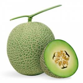 Seaemerald Musk Green Flesh Melon Organic 1.2kg