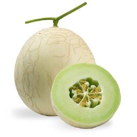 Blue Pearl Furyform Melon Organic