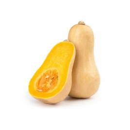 Butternut Squash Organic