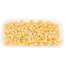 Sweet Corn Seeds (200g)