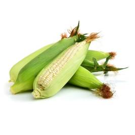 White Corn 2 units